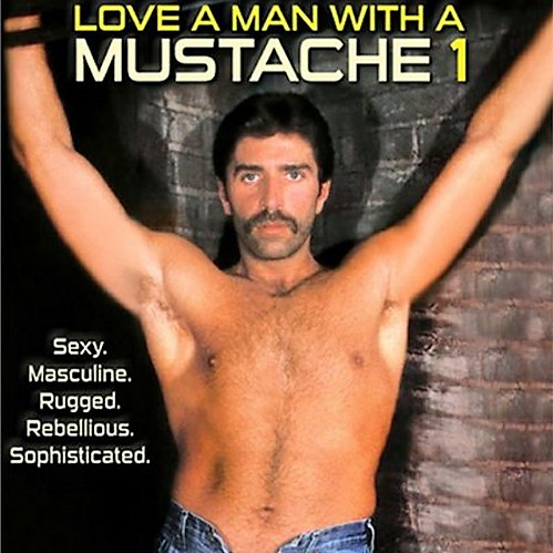 Vintage Gay Porn Love A Man With A Mustache 1! | Daily Dudes @ Dude Dump